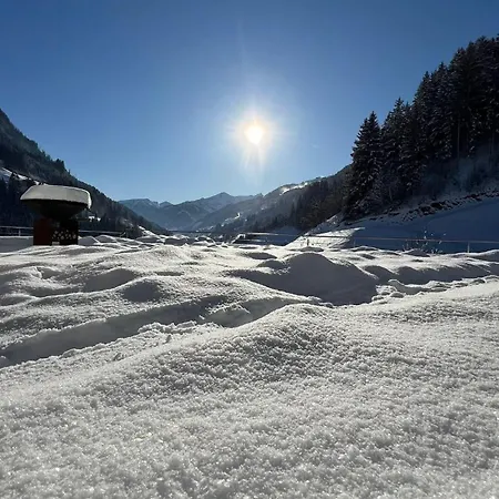 Ferienwohung Walcher * Grossarl